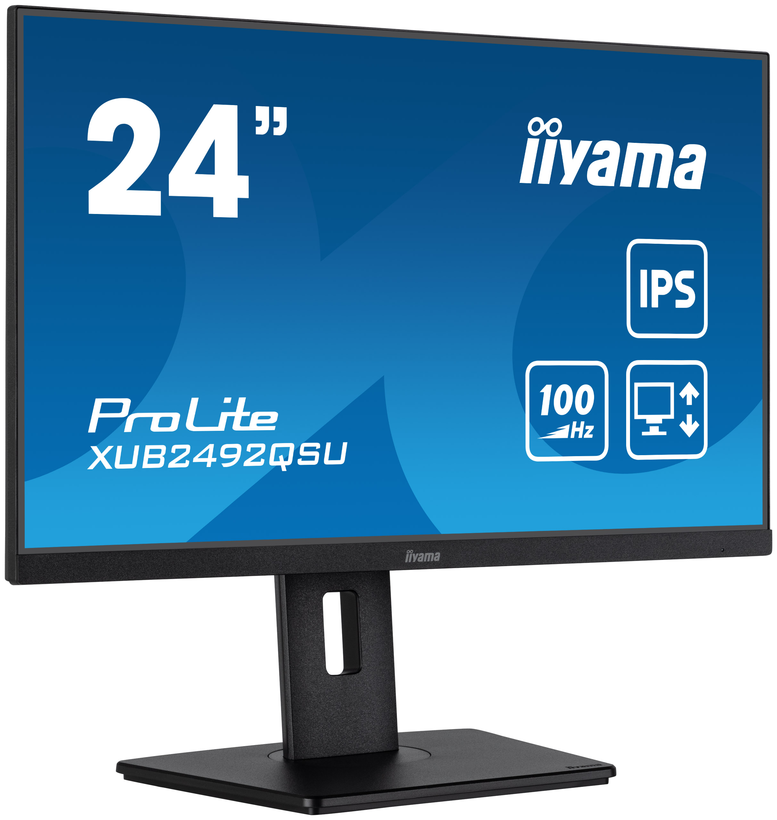 iiyama ProLite XUB2492QSU-B1 Monitor