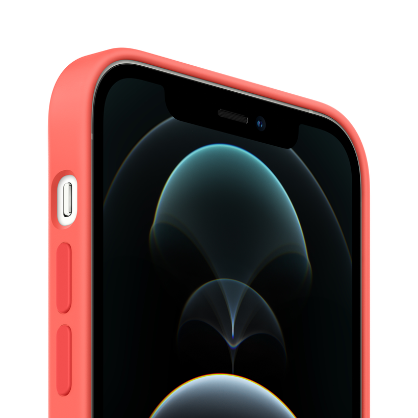 Coque silicone Apple iPhone 12 Pro Max