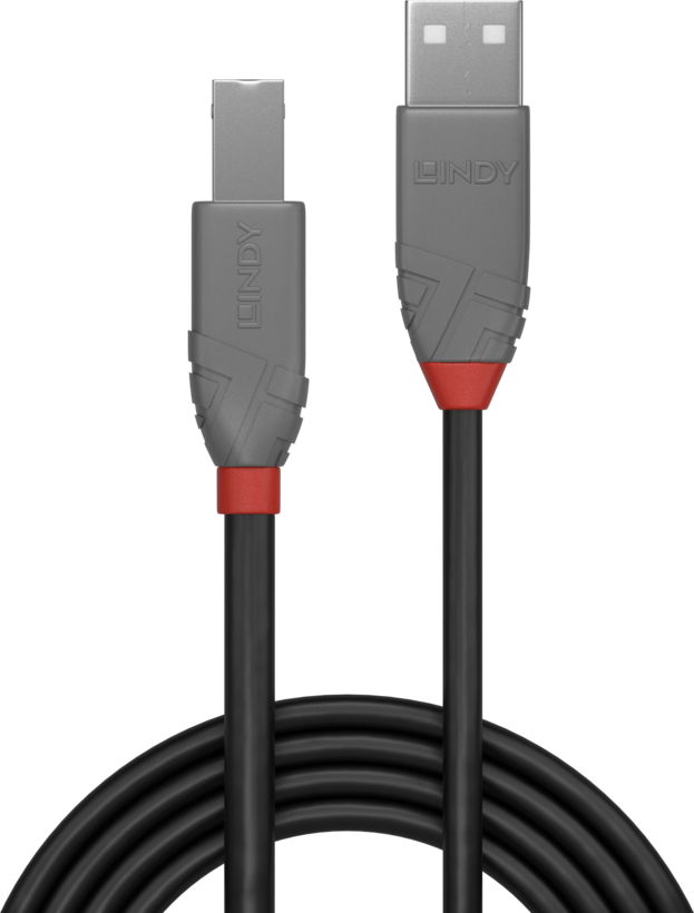 Câble USB LINDY type A - B, 0,5 m
