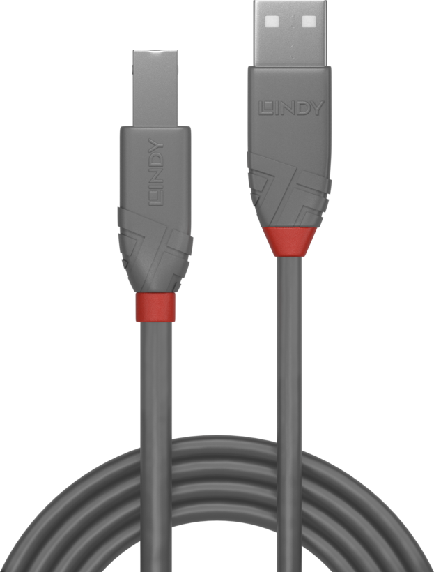 Cavo USB Type A - B LINDY 2 m