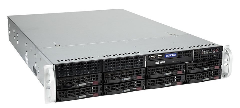 bluechip SERVERline R52305s Server