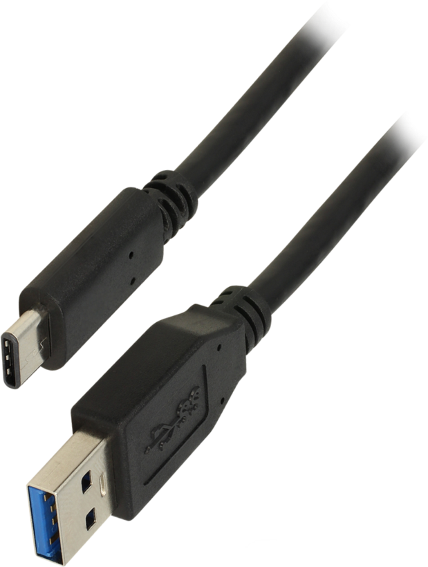 Delock USB Typ C - A Kabel 1 m