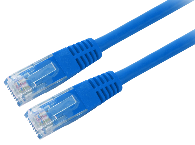 Patch Cable RJ45 U/UTP Cat5e 0.5m Blue