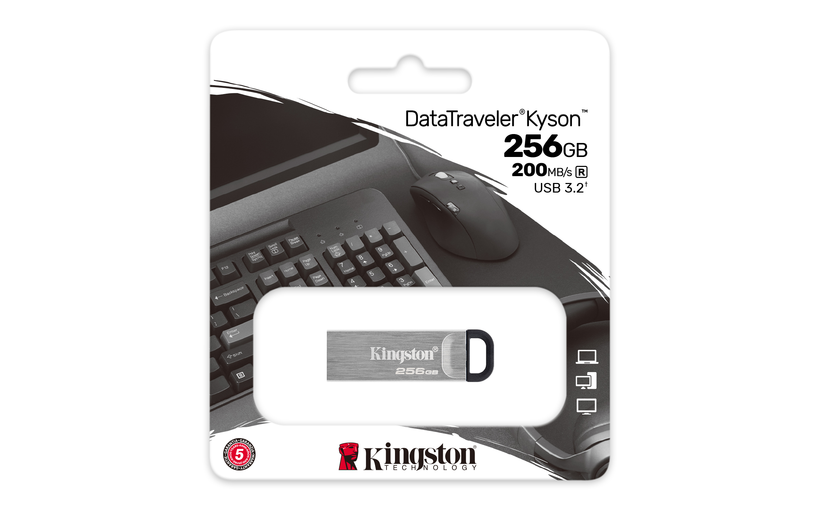 Kingston DT Kyson 256GB USB Stick