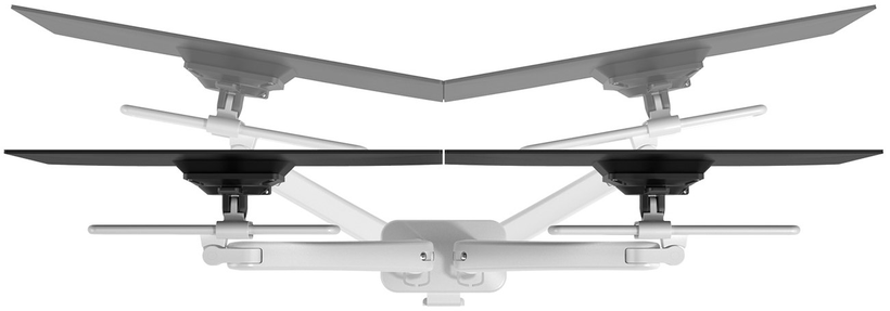 Dataflex Viewprime + Dual Desk Mount