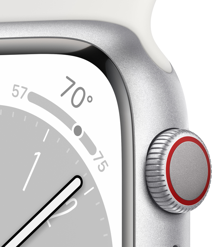 Apple Watch S8 GPS+LTE 41mm Alu silber