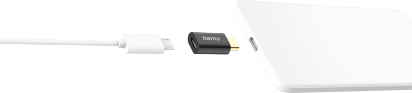 Adaptateur Hama USB type C - microB