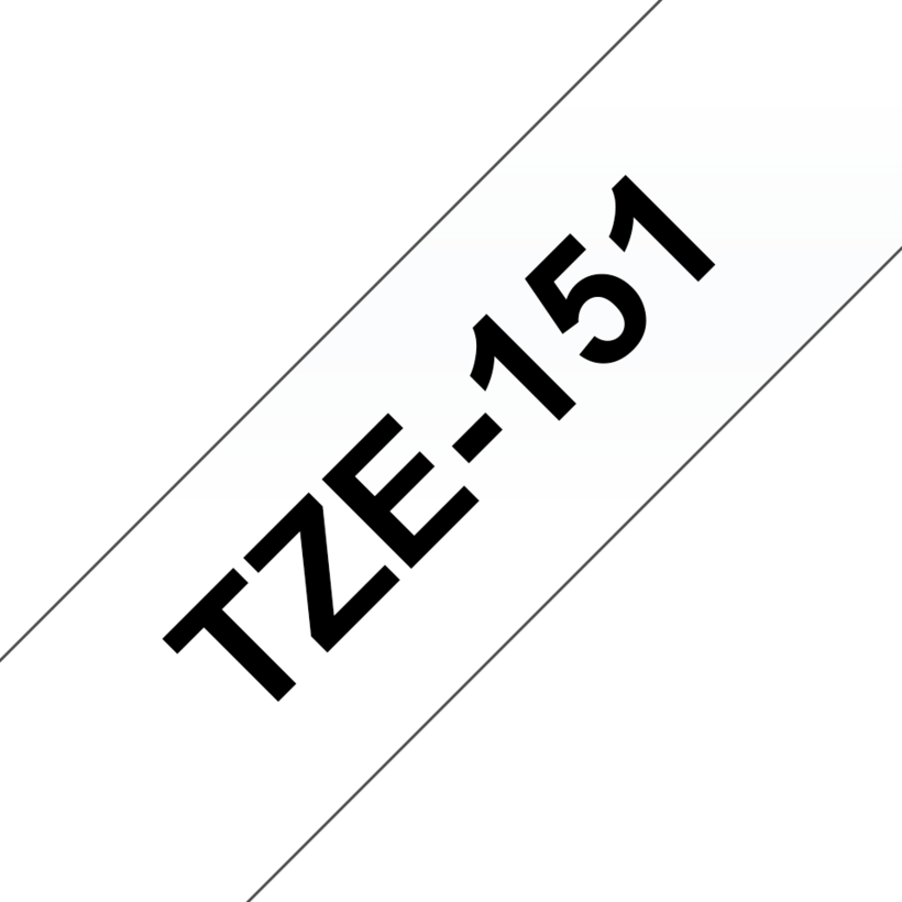Nastro di scrittura TZe-151 24mmx8m