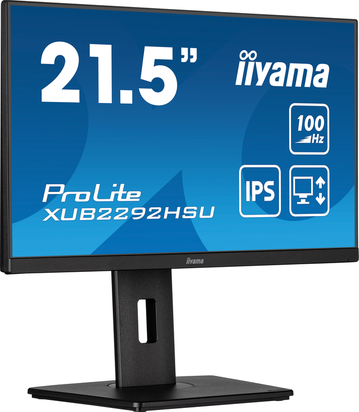 iiyama ProLite XUB2292HSU-B6 Monitor