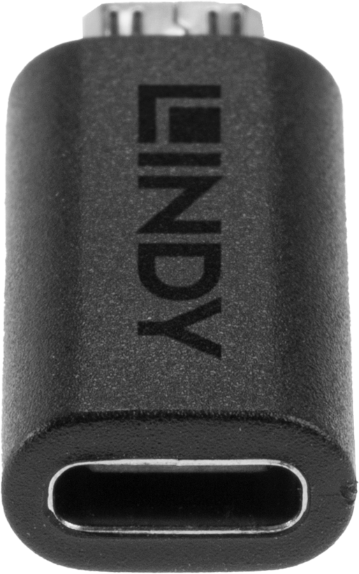 LINDY USB Typ C - Micro-B Adapter