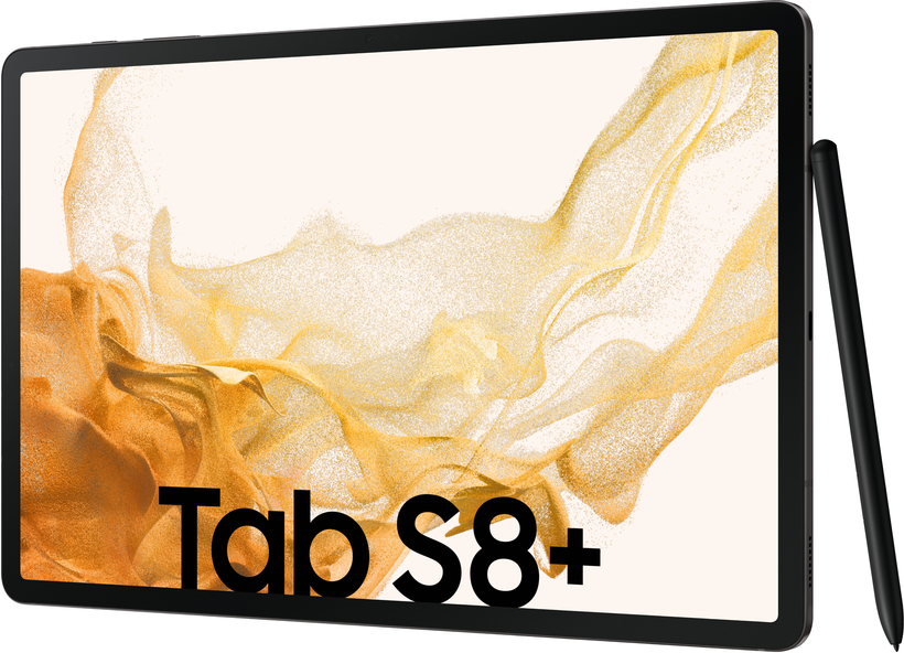 Samsung Galaxy Tab S8+ 12,4 WiFi graphit