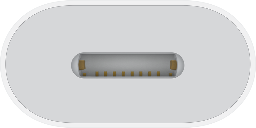 Adaptér Apple USB C - Lightning