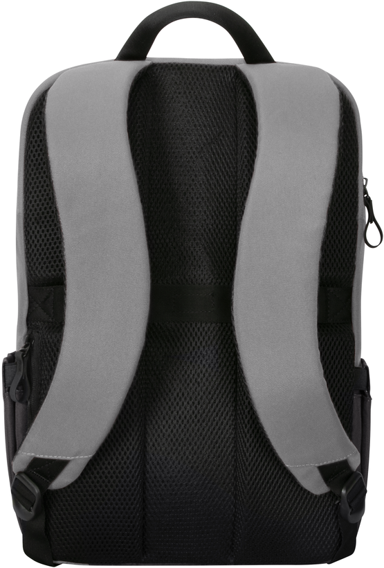 Targus Sagano 39.6cm/15.6" Backpack