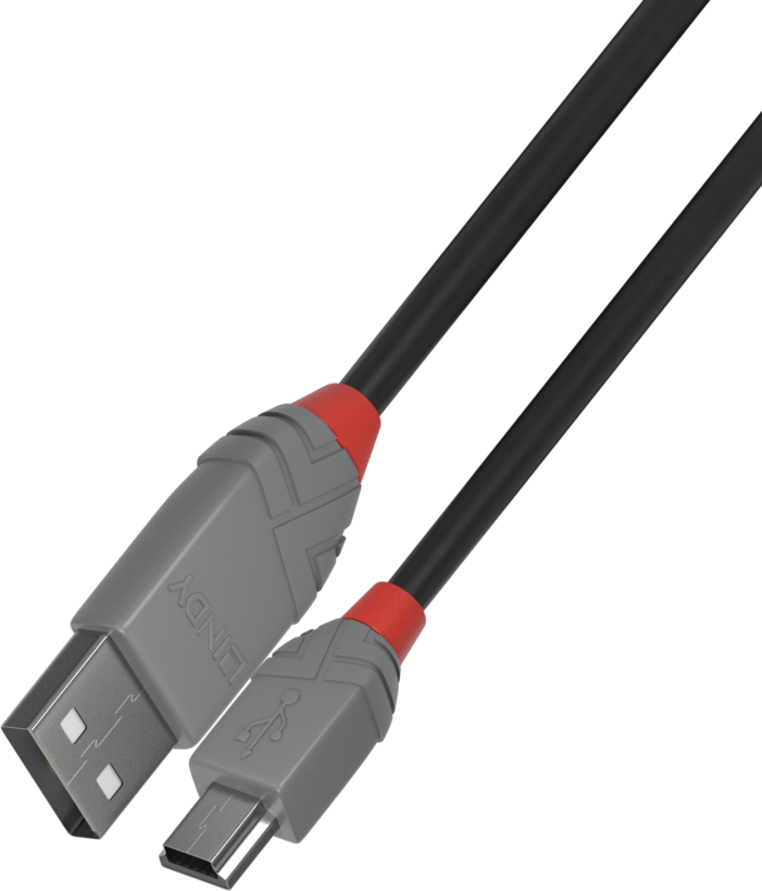 Câble USB LINDY type A - miniB, 3 m