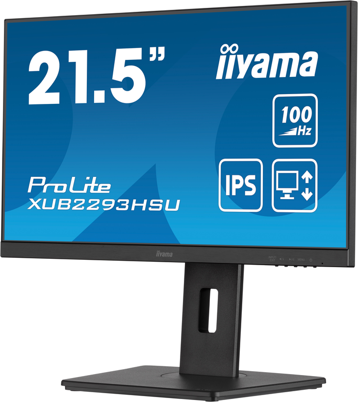 iiyama ProLite XUB2293HSU-B6 Monitor