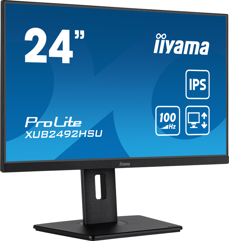 iiyama ProLite XUB2492HSU-B6 Monitor