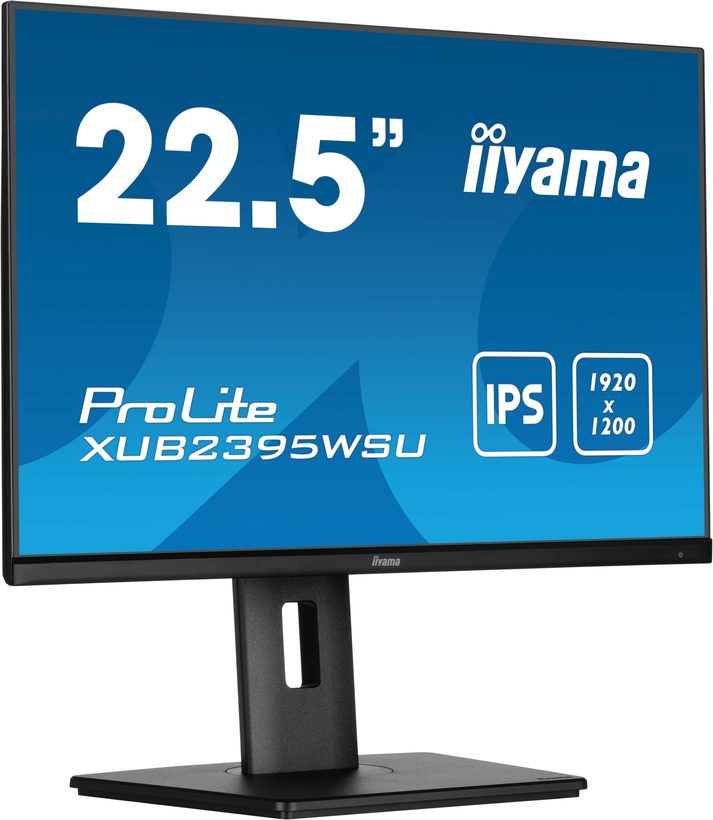 iiyama ProLite XUB2395WSU-B5 Monitor