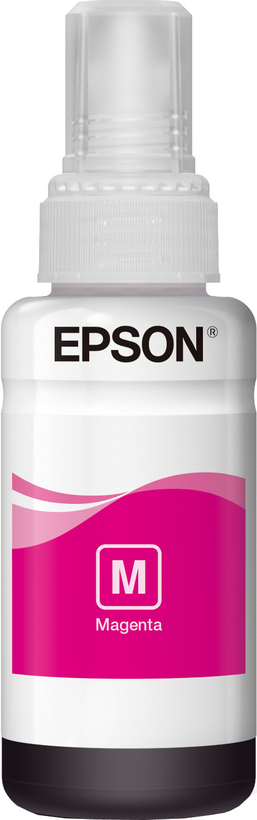 Epson Tusz T6643, purpurowy 70 ml