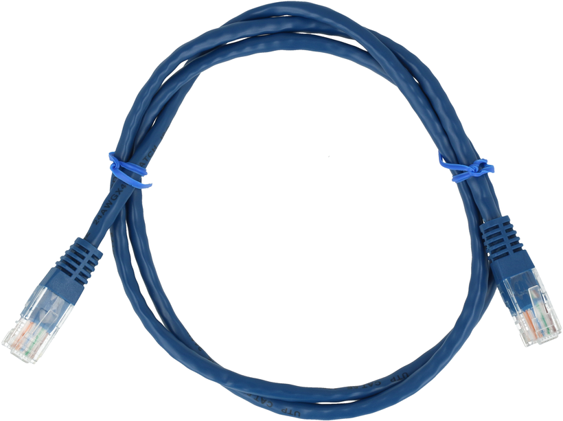 Cat5e Patch Cable, U/UTP, RJ45, 3m, Blue