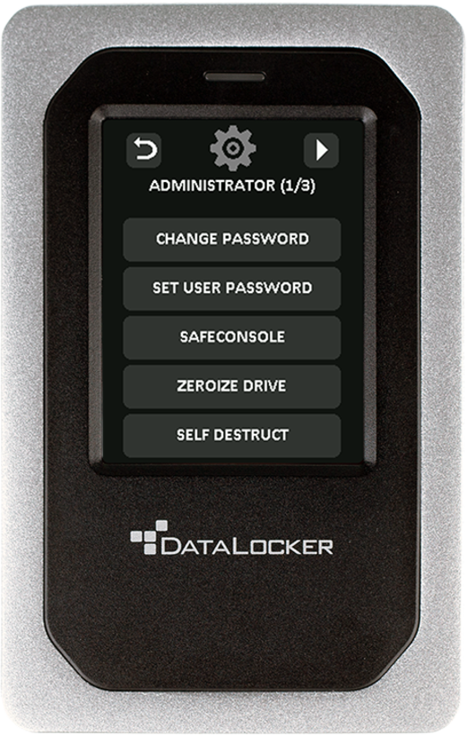 HDD 500 GB DataLocker DL4 FE