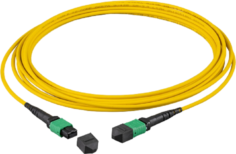 Câble patch FO MTP/MPO f. - f., 5 m; 9 µ