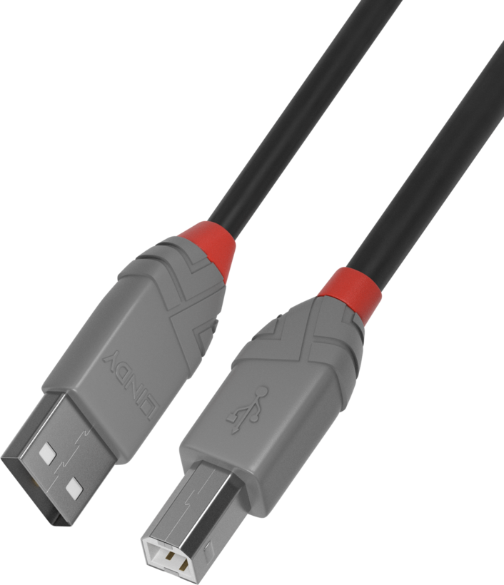 Cabo LINDY USB tipo A - B 2 m