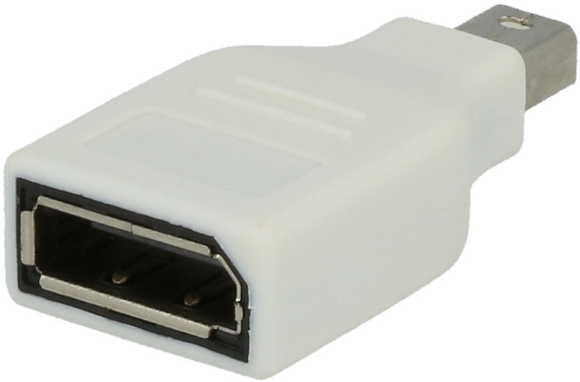 Adaptador DisplayPort - mini-DP ARTICONA