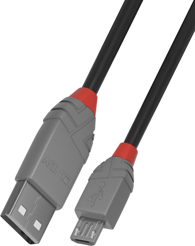 Câble USB LINDY type A - microB, 0,2 m