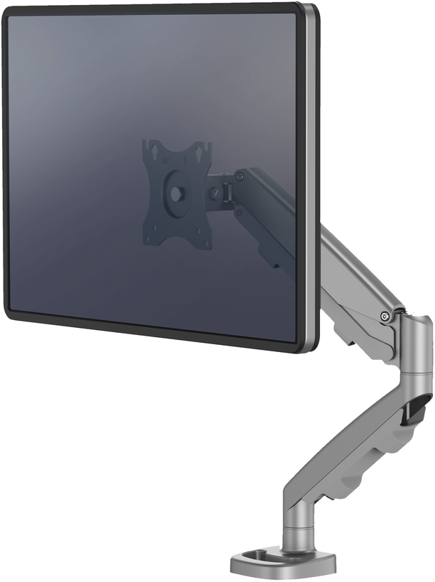 Braccio monitor singolo Eppa, argento