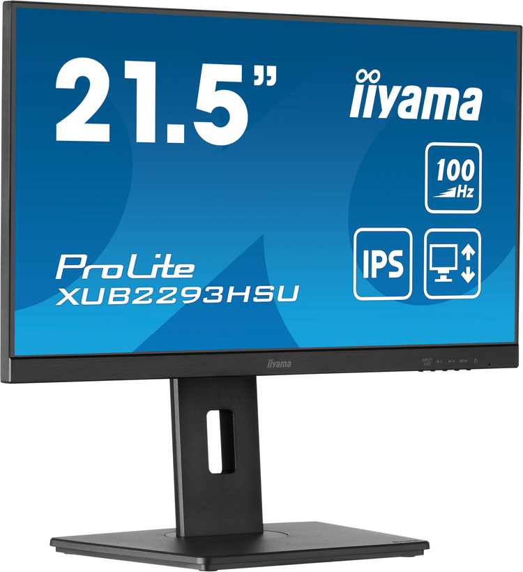 Monitor iiyama ProLite XUB2293HSU-B6
