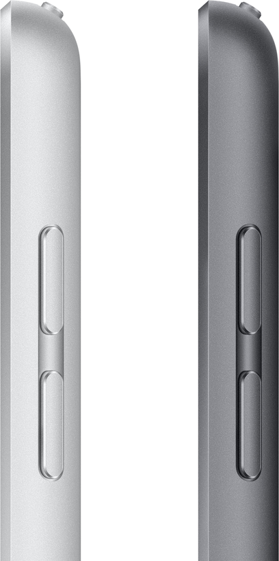 Apple iPad 10.2 9e gén 256 Go, gris