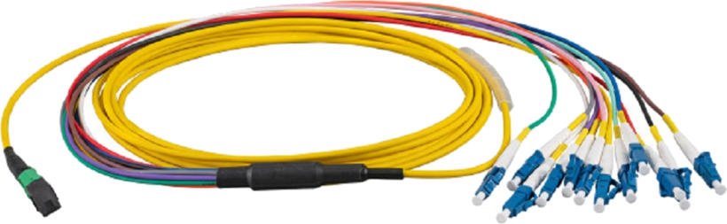 Câble patch FO MTP/MPO f. - 12xLC m. 5 m