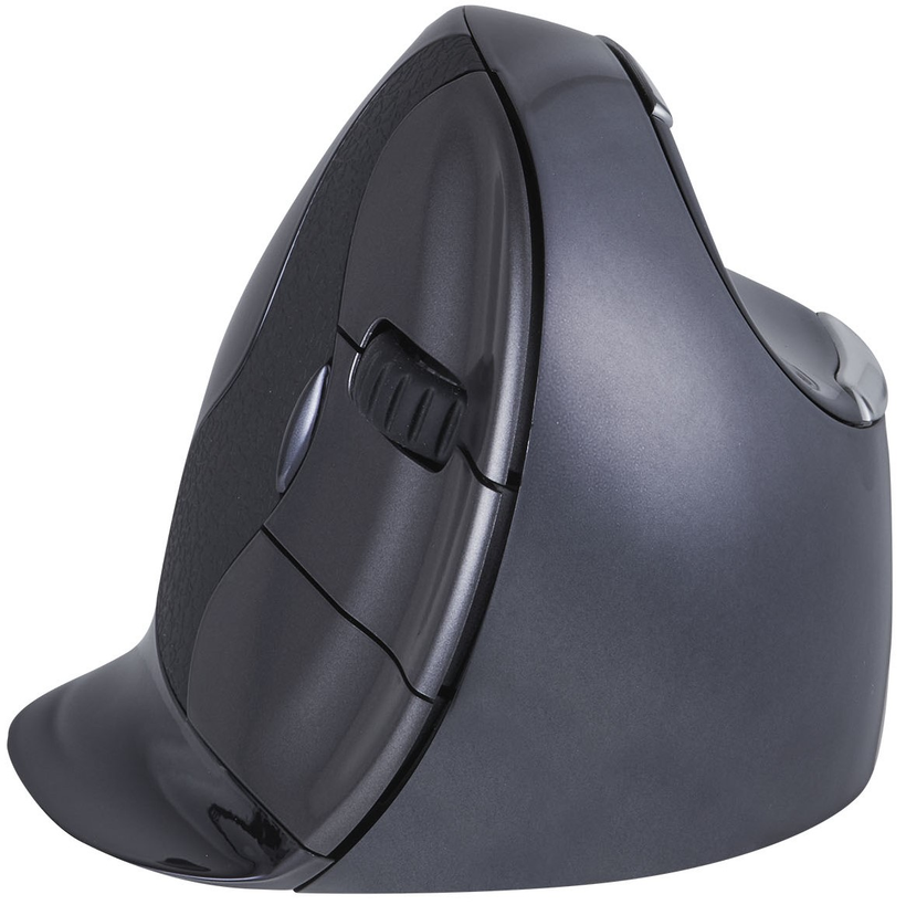 Mouse verticale wireless Evoluent D M