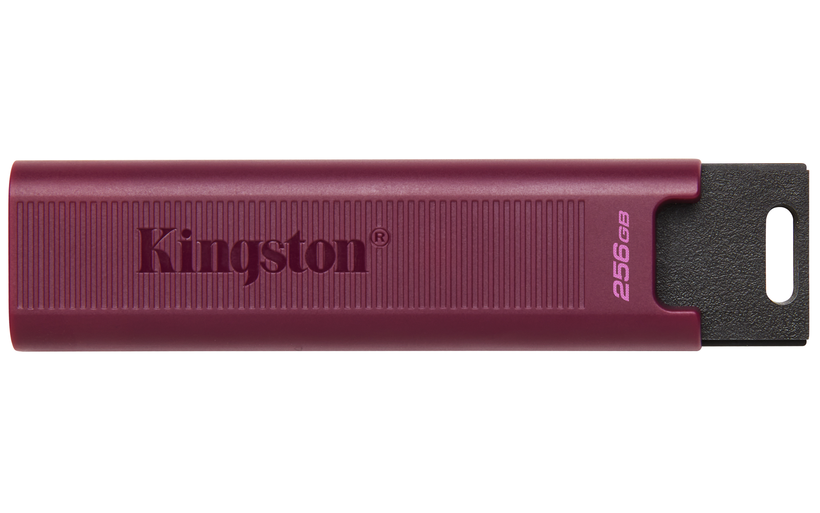 Chiavetta USB-A 256 GB Kingston DT Max