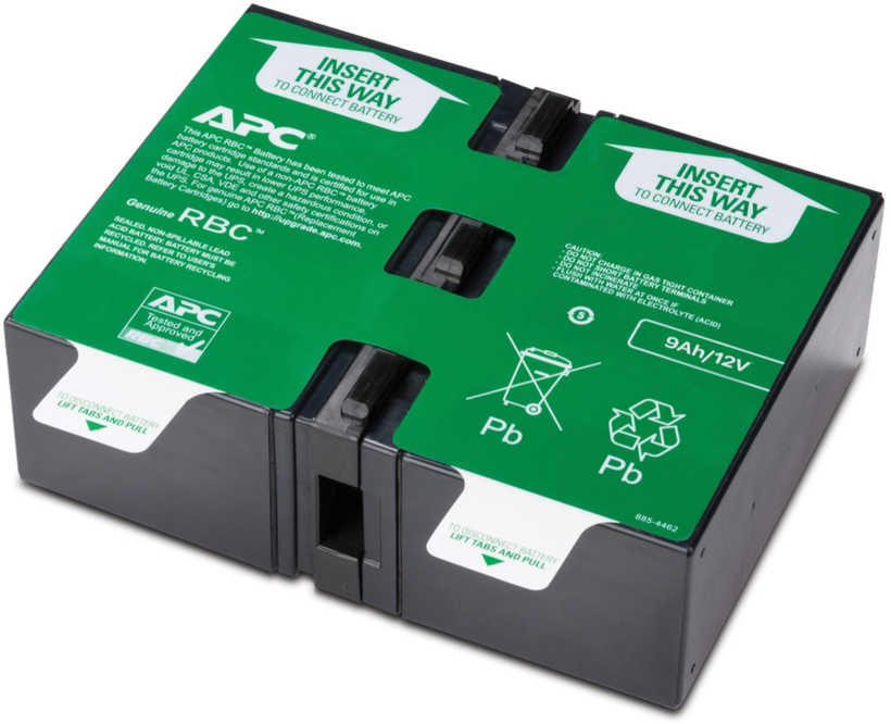 APC Battery Back-UPS Pro BR1600MI