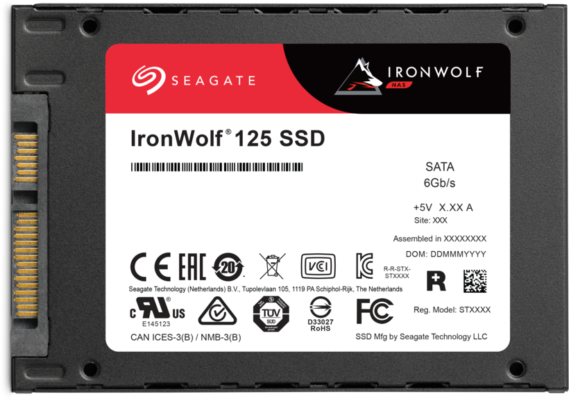 SSD 250 Go Seagate IronWolf 125 NAS