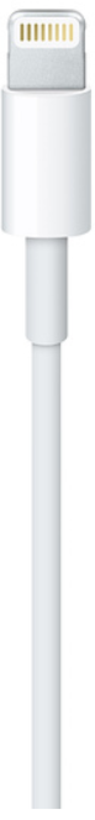 Cable Apple Lightning - USB 1 m