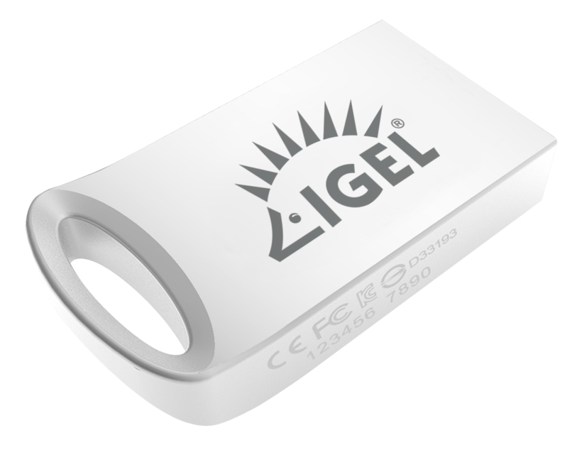 IGEL Work from Home Kit
