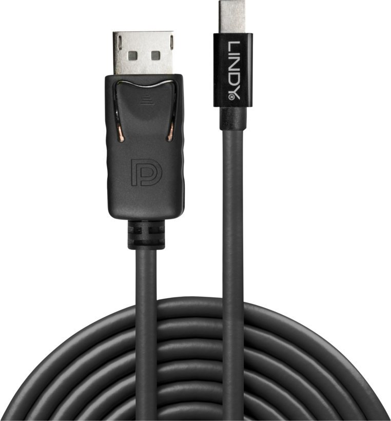 Câble DP m. - mini DisplayPort m., 2 m