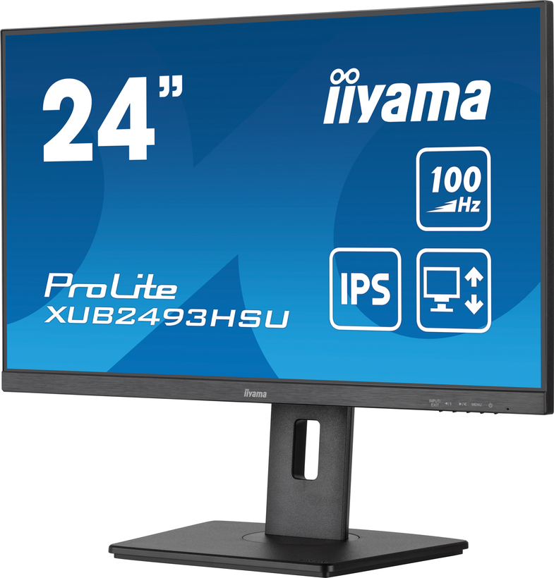 iiyama ProLite XUB2493HSU-B6 Monitor