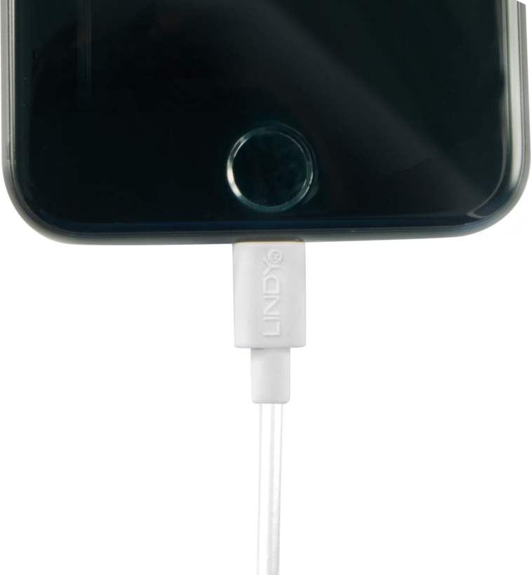 LINDY USB-A to Lightning Cable 1m