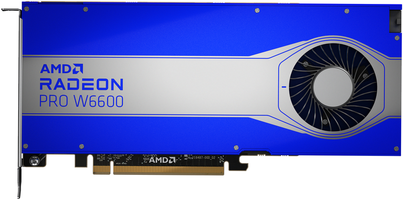 Scheda grafica HP AMD Radeon Pro W6600