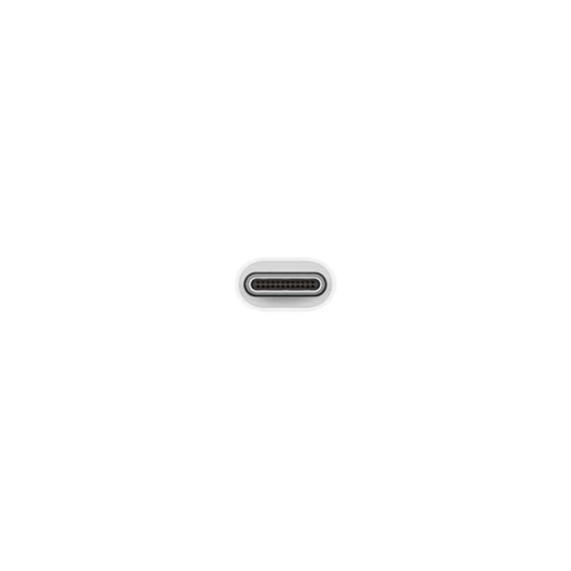 Adattatore USB-C a USB Apple
