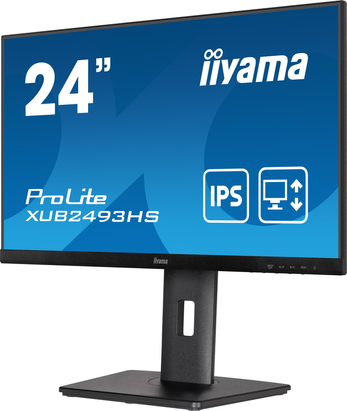 iiyama ProLite XUB2493HS-B5 Monitor
