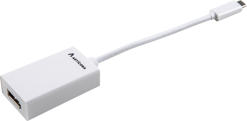 Adapter USB type C/m - DisplayPort/f