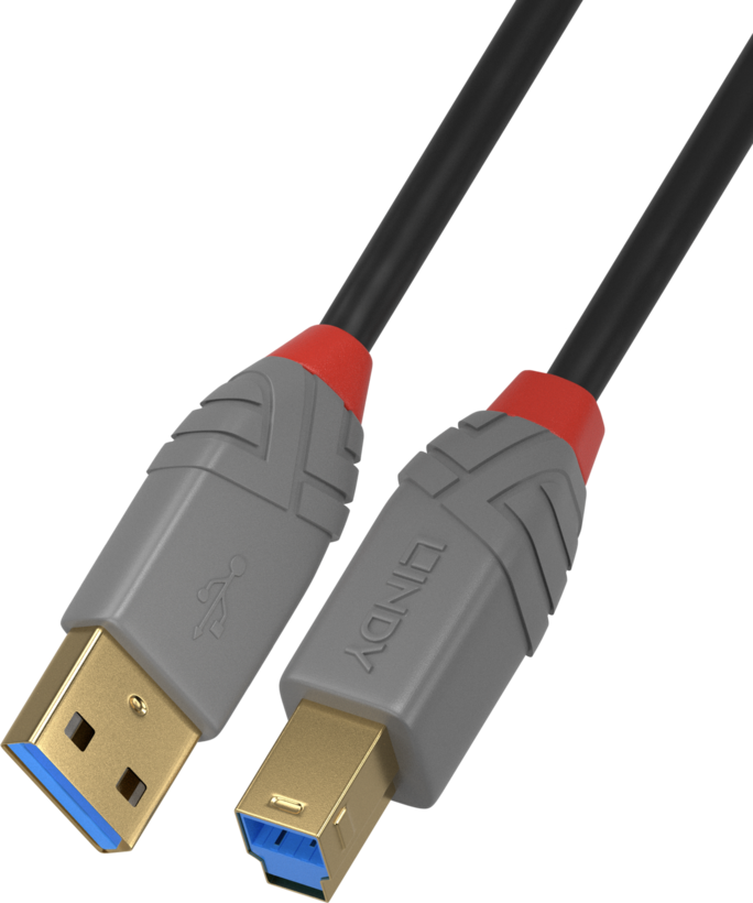 Câble USB LINDY type A - B, 2 m