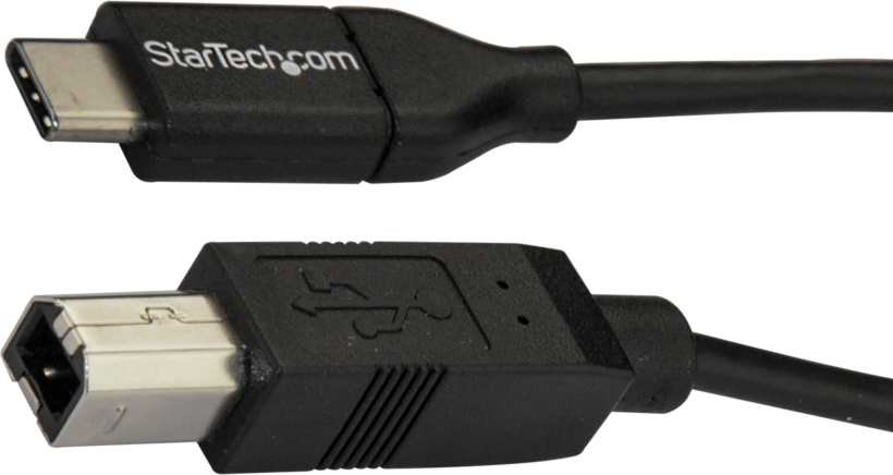 Kabel StarTech USB typ C - B 2 m