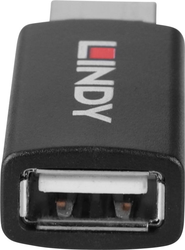 Adattatore USB Type A LINDY