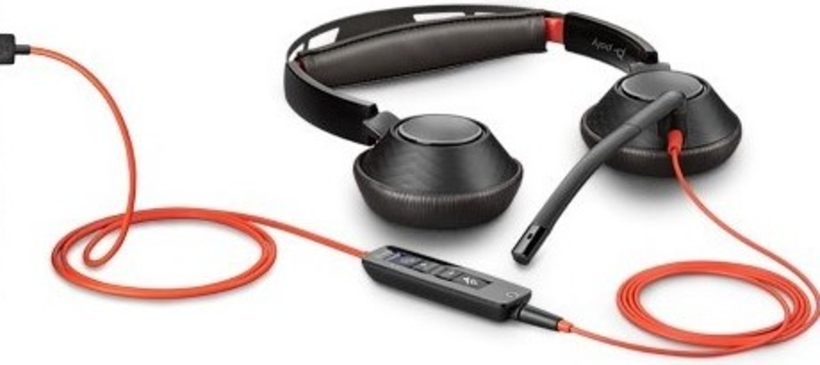 Micro-casque USB-A Poly Blackwire 5220