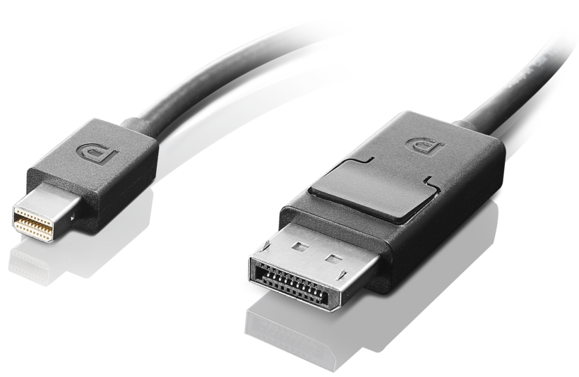 Lenovo Mini-DP to DP 2.0 m cable
